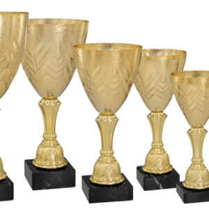 6er-Serie Pokale Katharina go