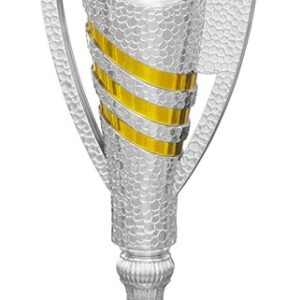 Pokal silber-go H.295mm Klaus