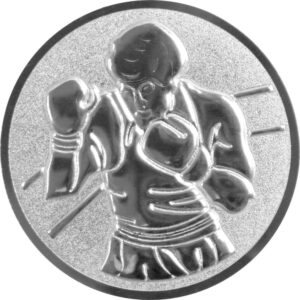 Emblem Boxen 3D Ø50mm Silber