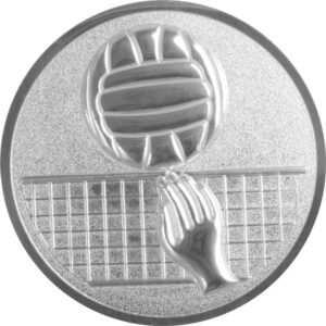 Emblem Volleyball 3D Ø50mm Sil.